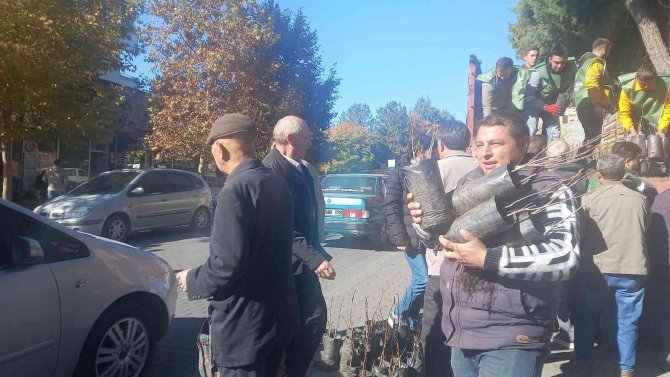 Gediz’de 15 Bin Fidan Dağıtıldı