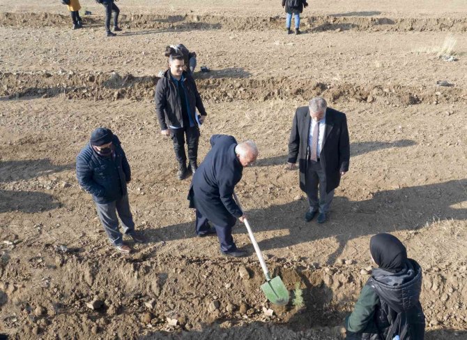 Milli Ağaçlandırma Gününde Fidanlar Toprakla Buluştu