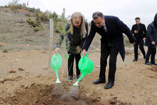 Gümüşhane’de Milli Ağaçlandırma Gününde Binlerce Fidan Toprakla Buluştu