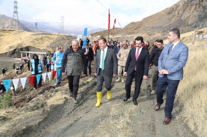 Hakkari’de 2 Bin 500 Fidan Dikildi