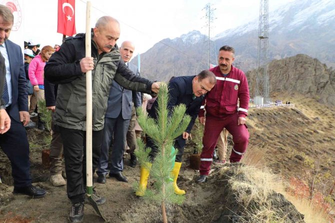 Hakkari’de 2 Bin 500 Fidan Dikildi
