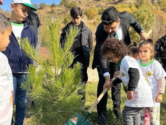 Çukurca’da Fidan Dikimi Yapıldı