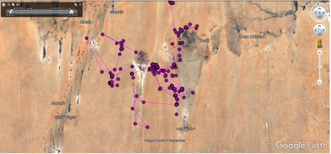 Iğdır’da Yola Çıkan Bozkır Kartalı Sudan’a Ulaştı