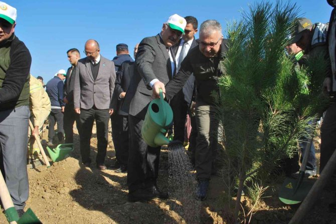 İ̇zmir’de 42 Bin Fidan Toprakla Buluştu