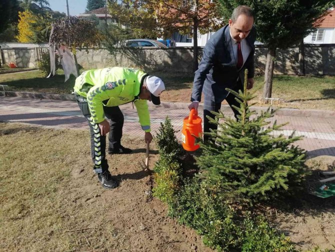 Kargı’da Bin Fidan Toprakla Buluştu