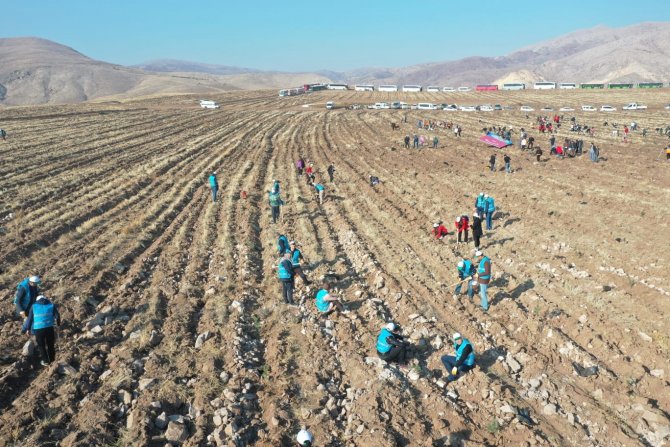 Kayseri’nin Denizi Kuşçu’da, Ağaç Dikme Etkinliği Gerçekleştirildi