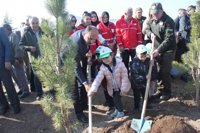 Konya’da ’Türkiye Yüzyılına Nefes’ İçin 70 Bin Fidan Toprakla Buluştu