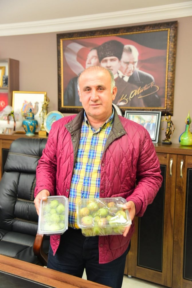 Kütahya’daki Hamile Kadının İncir İsteğine, Başkan Kaya Duyarsız Kalmadı