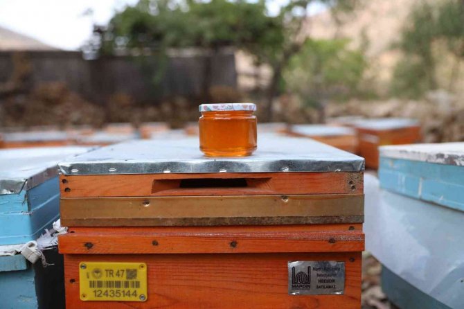 Mardinli Kadınlardan Ev Ekonomisine ’Bal’ Gibi Katkı