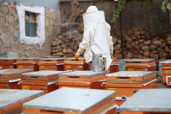 Mardinli Kadınlardan Ev Ekonomisine ’Bal’ Gibi Katkı