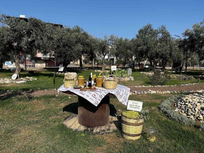 Tarsus Belediyesinden Ucuz Zeytinyağı