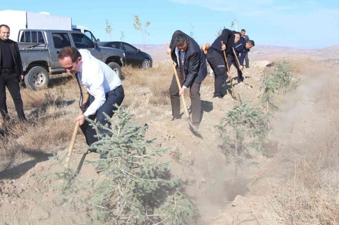 Sungurlu Adalet Ormanı’na 600 Fidan Dikildi