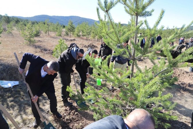 Geleceğe Nefes İçin Kızılcahamam’da 2000 Fidan Toprakla Buluştu