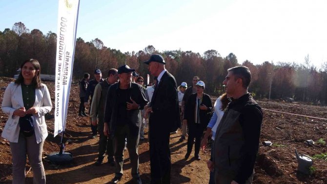 Marmaris’te Yanan Alanda 11 Bin Fidan Dikildi