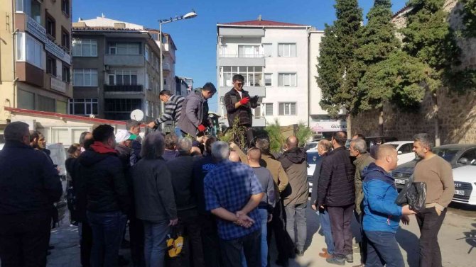 Sinop’ta 49 Bin Fidan Dikildi