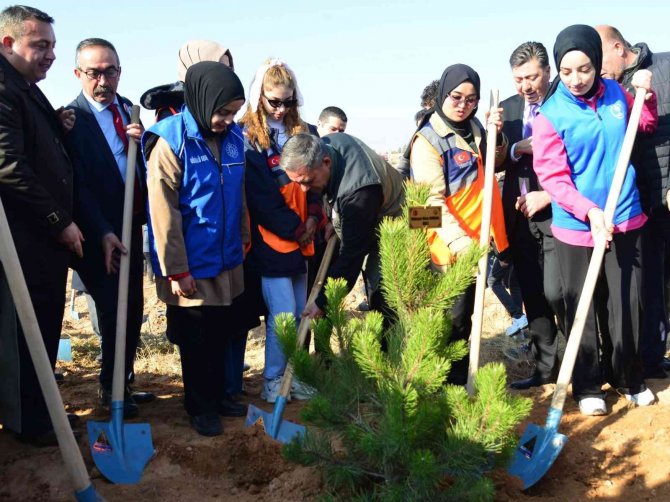 Milli Ağaçlandırma Günü’nde Toprak Fidanlarla Buluştu
