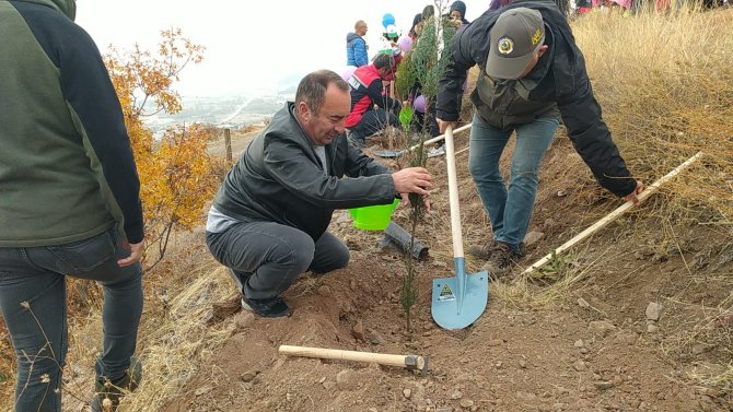 İ̇skilip’te 500 Fidan Toprakla Buluştu