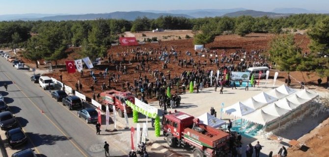 Muğla’da 253 Bin Fidan Toprakla Buluştu
