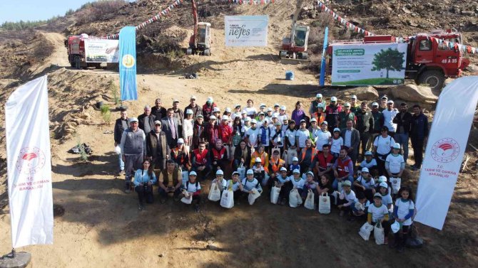 Nazilli’de 3 Bin Fidan Toprakla Buluştu