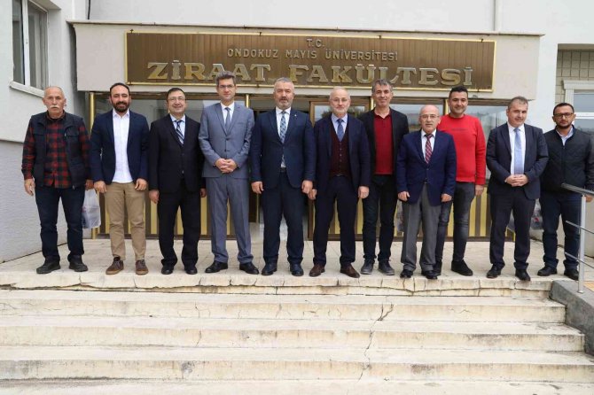 19 Mayıs’a ’Kestane Ormanı’ Kurulacak