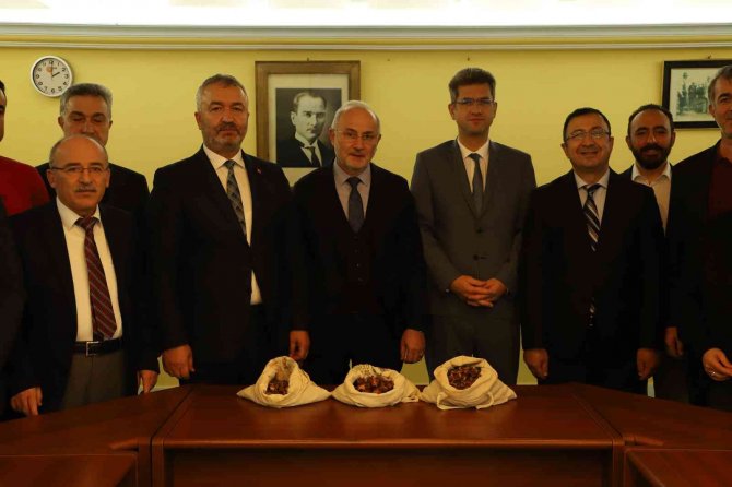 19 Mayıs’a ’Kestane Ormanı’ Kurulacak