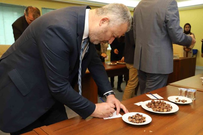 19 Mayıs’a ’Kestane Ormanı’ Kurulacak