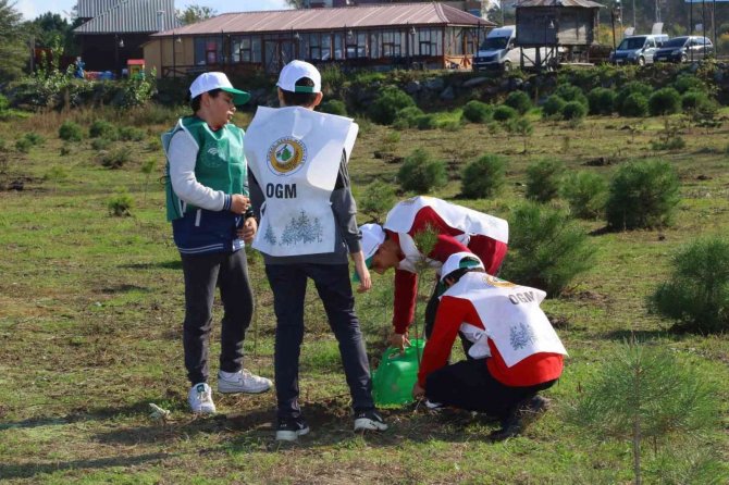 300 Fıstık Çamı Toprakla Buluştu