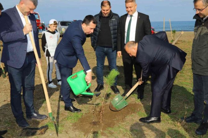 300 Fıstık Çamı Toprakla Buluştu