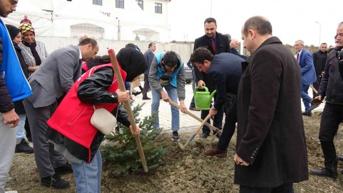Samsun’da 100 Bin Fidan Toprakla Buluştu