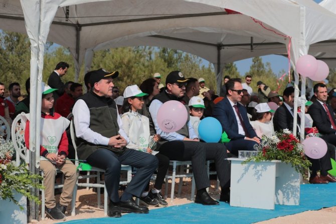 Şanlıurfa’da Binlerce Fidan Toprakla Buluşturuldu