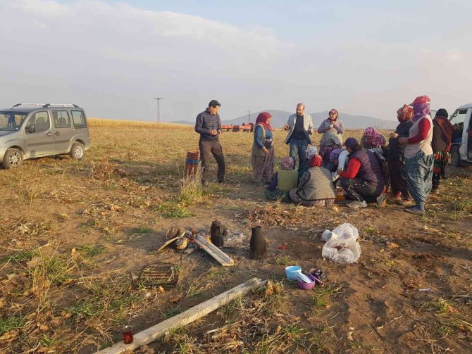 Başkan Erden Soğan Tarlasında Çalışan Kadınların Sorunlarını Dinledi