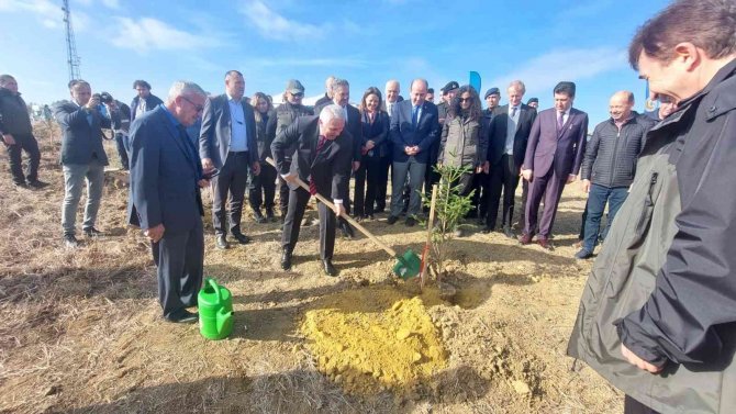 Tekirdağ’da 1 Yılda 693 Bin Fidan Dikilecek
