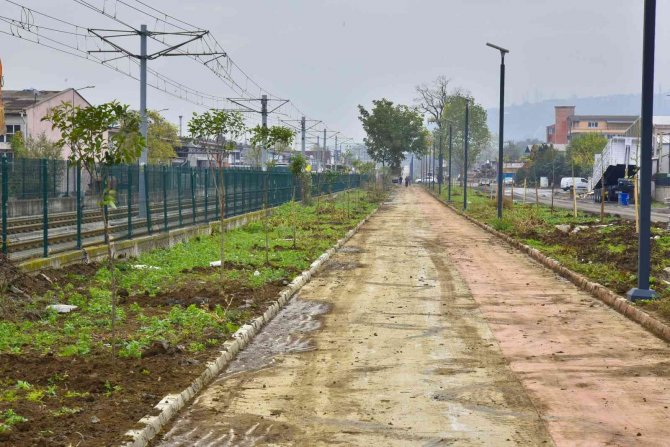 Tekkeköy’de 1500 Fidan Toprakla Buluştu