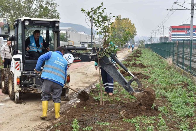 Tekkeköy’de 1500 Fidan Toprakla Buluştu