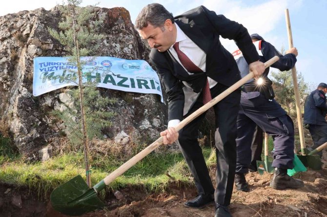 Tokat’ta, 8 Bin Fidan Toprakla Buluştu