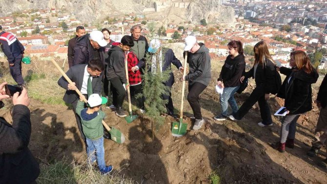 Tokat’ta, 8 Bin Fidan Toprakla Buluştu