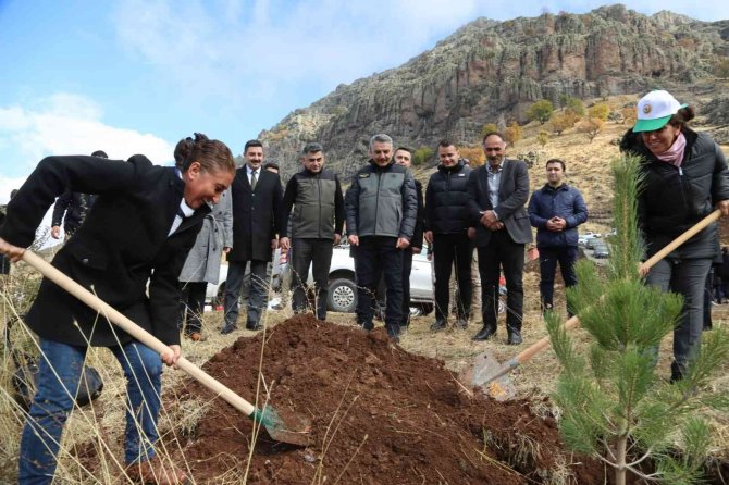 Tunceli’de 20 Bin Fidan Toprakla Buluşturuldu