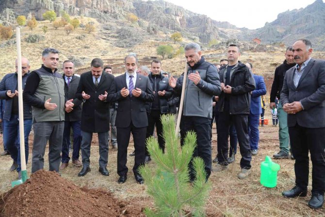 Tunceli’de 20 Bin Fidan Toprakla Buluşturuldu