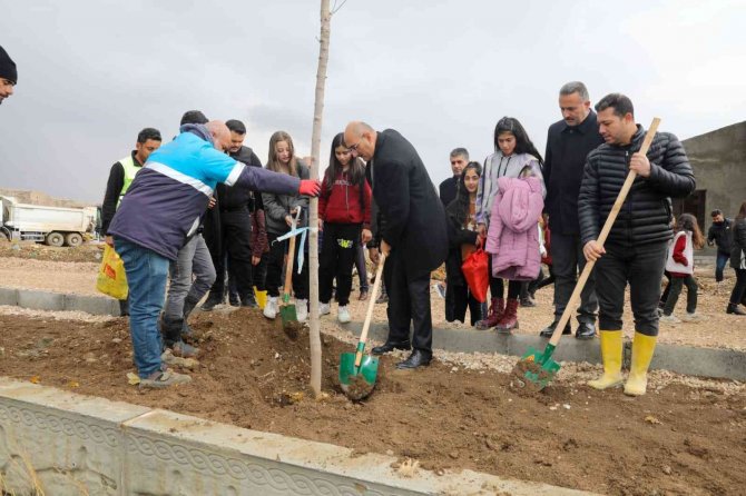 Milli Ağaçlandırma Günü’nde Fidanlar Toprakla Buluşturuldu