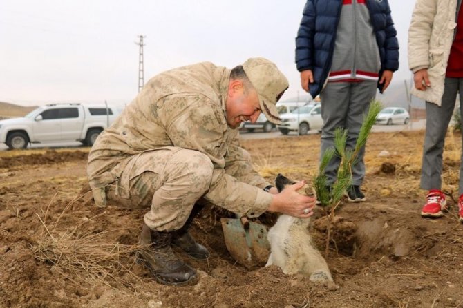 Milli Ağaçlandırma Günü’nde Özalp’ta 300 Fidan Toprakla Buluştu