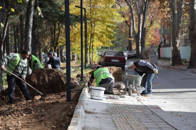 Yaşam Parkı Gün Sayıyor