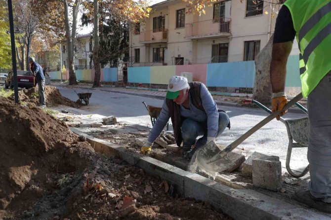 Yaşam Parkı Gün Sayıyor