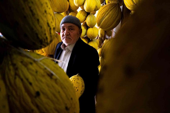 Kırkağaç’ın Yaz Meyvesi Kavunları Kışlık Sofraları Süsleyecek