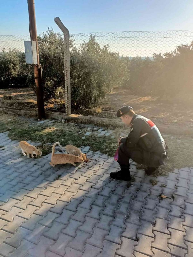 Jandarma, ‘Can Dostların’ Yanında