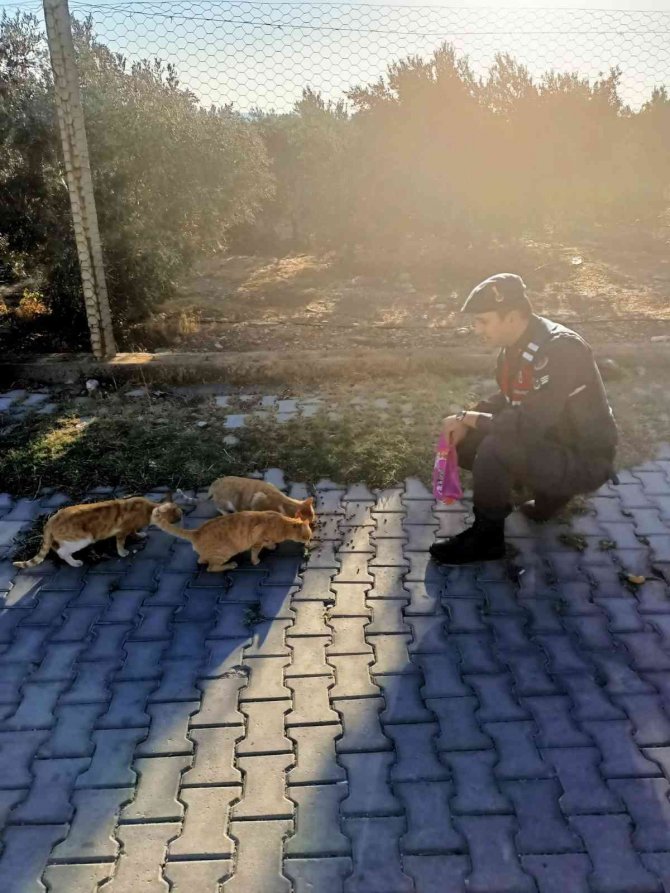 Jandarma, ‘Can Dostların’ Yanında