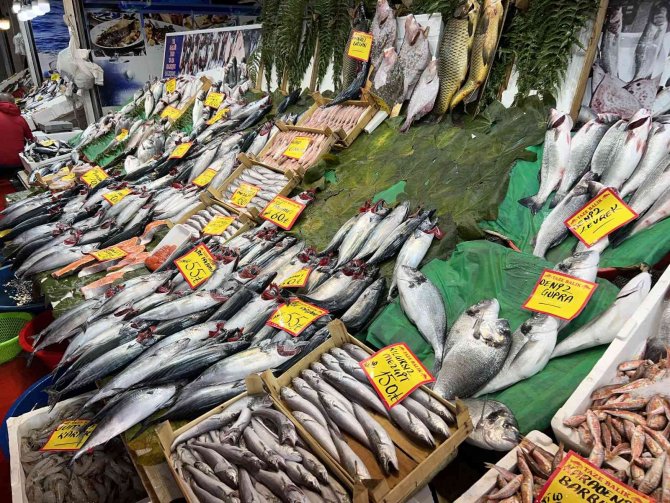 Tezgahlarda Çinekop Bollaştı, Fiyatı Yarı Yarıya Düştü