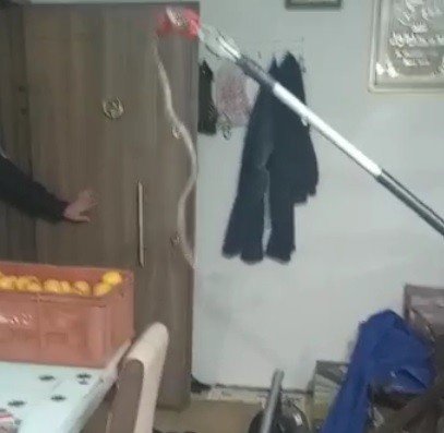Elazığ’da Eve Giren 1 Metrelik Yılan Paniğe Neden Oldu, Ailenin Yardımına İtfaiye Ekipleri Yetişti
