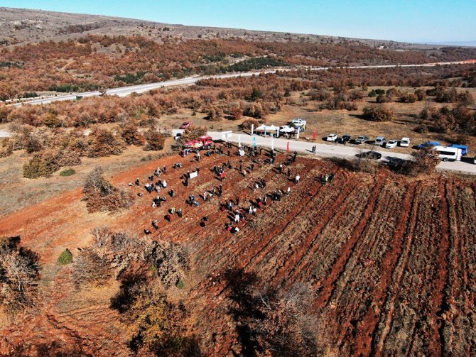 İ̇nönü’de 5 Bin Fidan Toprakla Buluştu