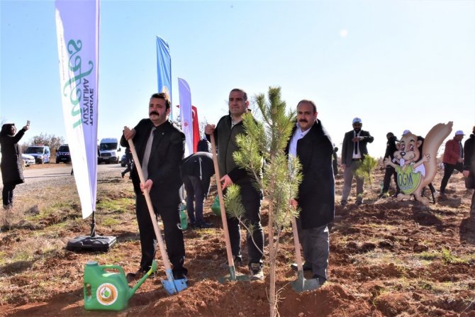 İ̇nönü’de 5 Bin Fidan Toprakla Buluştu