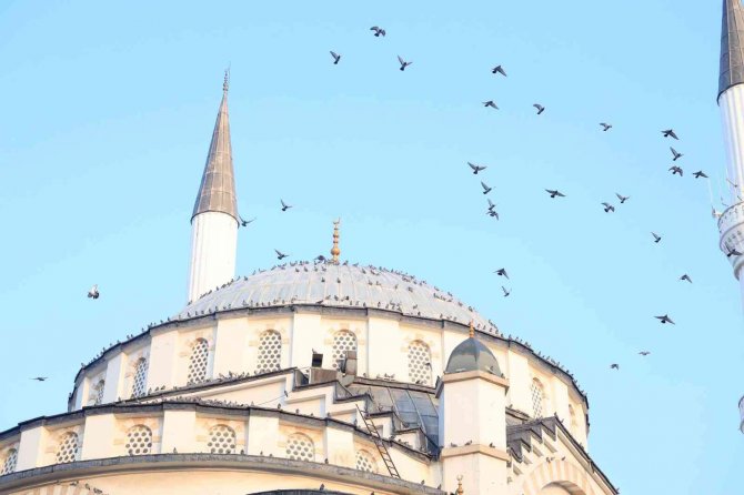 Türkiye’nin İlk Asansörlü Camisi Güvercinleri Ağırladı